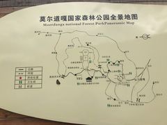 -莫尔道嘎国家森林公园