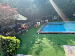 -汪说喵讲宠物乐园宠物酒店(红星美凯龙店)