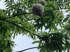 -天河体育中心