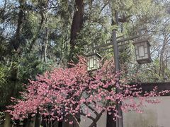 -岳王庙