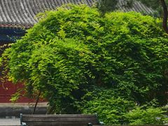 -大钟寺古钟博物馆
