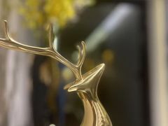 -江南玥养生公馆(宝山店)