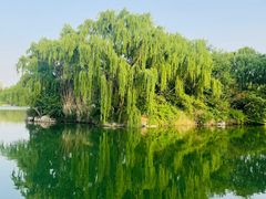 -济南大明湖景区