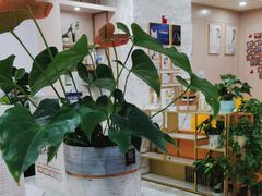 -启辰口腔(南坪店)