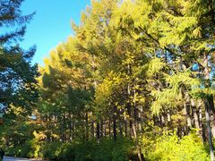 -长春市南湖公园