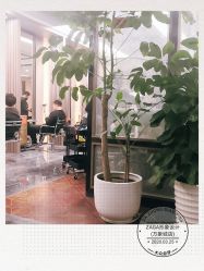 -扎嘎形象设计