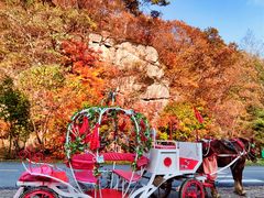 -丹东天桥沟景区