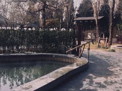 -南宫温泉水世界