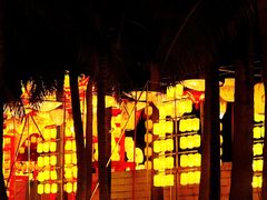 -欢乐海岸椰林沙滩-2025湾区超级灯会