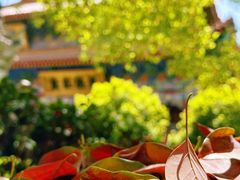 -西安大兴善寺