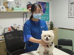 -乐派堂宠物医院·猫友好· 心脏科(东街店)