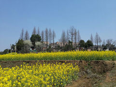 android_upload_pic-杏花村文化旅游区