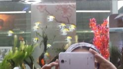 android_upload_pic-小左美发