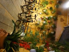 拖板鞋青年旅舍-拖板鞋咖啡旅行酒店(春熙路地铁站店)