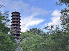 -红花山公园