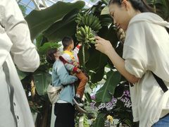 -石家庄市植物园