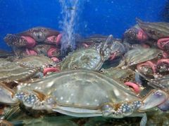 -船梆煮•蒸汽海鲜·炉火烤肉(五四广场店)