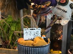 -甲乙果 美术书法(通州校区)