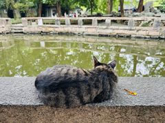 -西园寺素食(西园弄戒幢律寺店)