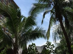 -三亚湾红树林度假世界(木棉酒店)