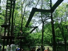 -WeLope紫金山探险公园