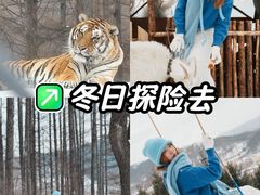 -横道河子东北虎林园