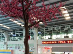 -中山夏威夷游泳馆(小榄店)