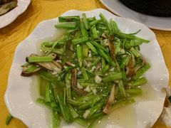 -清真·安乐园菜馆(茶南店)
