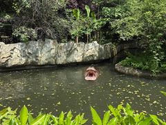-宁波野生动物园