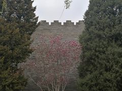 -东华门大街小区