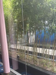 -爱儿美儿童摄影(朝阳公园店)