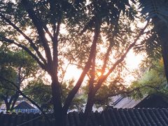 -悦真雅院·四合院·清真私房菜(雍和宫店)