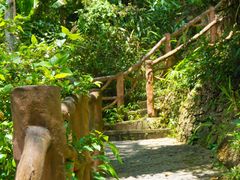 -海南热带雨林国家公园吊罗山景区