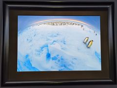 -罗红摄影艺术馆