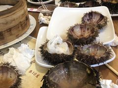 -海胆小馆(东北水饺·春柳店)