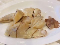 -清心鸡沙田乳鸽店·非遗传承(石溪店)