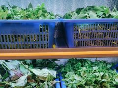 -老味道1992(武当山店)