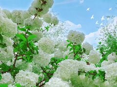 -大龙山(地铁站)