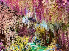 -正佳雨林生态植物园