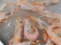 -蓝珊甄选海鲜自助·火锅大排档(近阿那亚店)