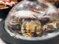 -王潮活海鲜自助·蒸汽海鲜