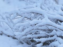 -武汉紫薇都市田园