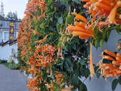 -瑞丰园庭院餐厅·白族传统家常菜