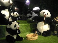 -成都泰迪熊博物馆