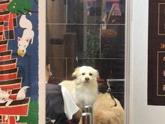 -小尾巴宠物店(万科·金域华庭店)