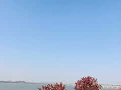 -艾溪湖湿地公园