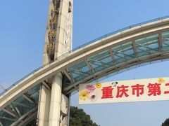 -南山植物园