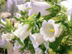 -四季美学色彩形象管理服装搭配