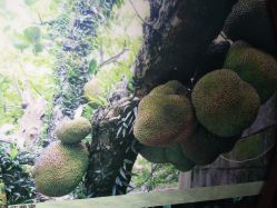 -北京市朝阳区妇幼保健院(南院区)