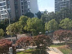 -大拙里·精致融合菜(沙湖桃源国际店)